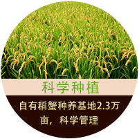 顛覆傳統(tǒng)革命式的網(wǎng)站和產(chǎn)品展示方式